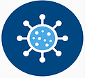 Maladies Infectieuses